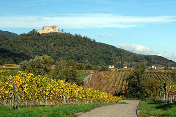 Holiday flats in Neustadt Weinstrasse